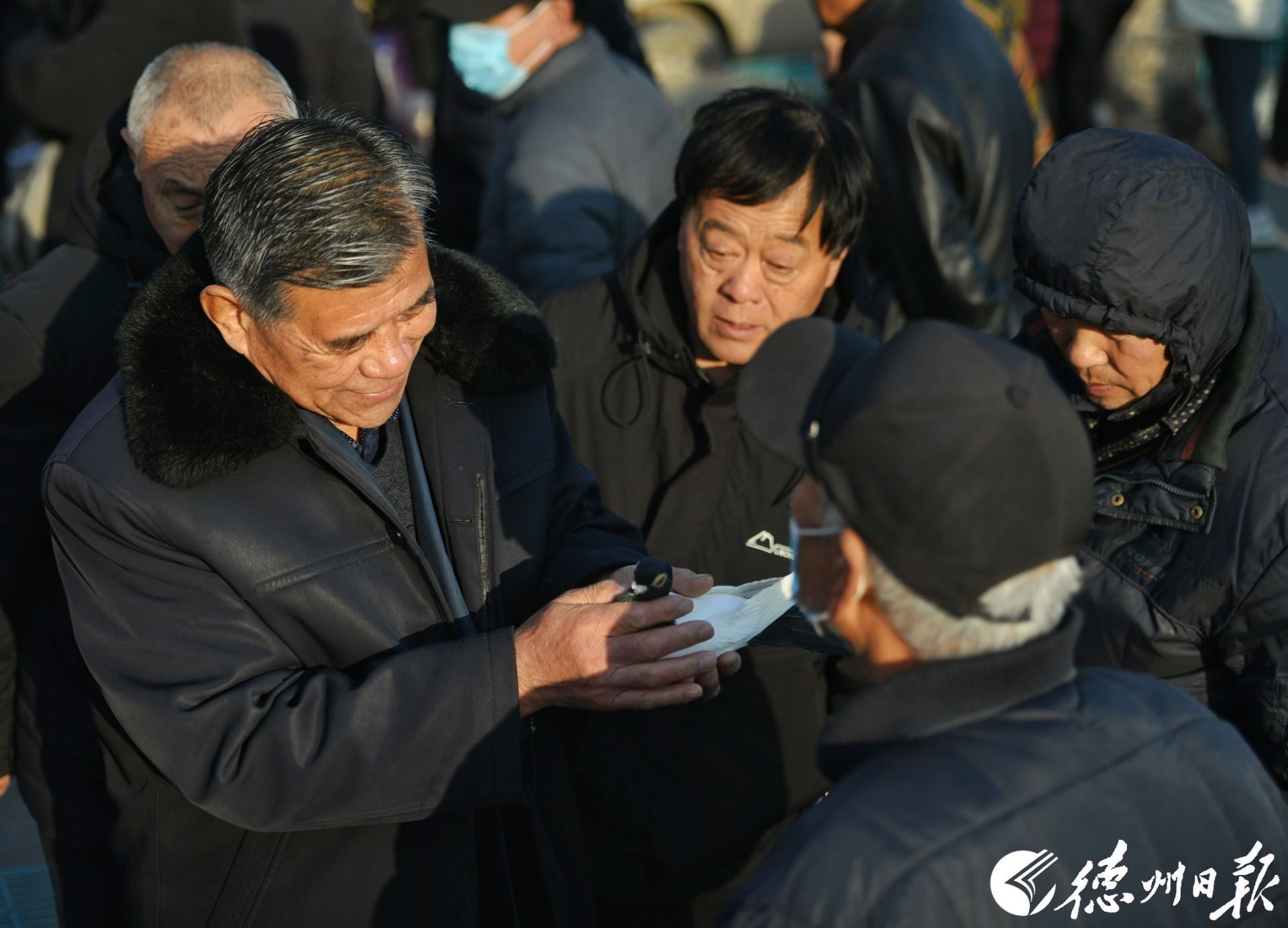 招聘信息_招聘信息发布文案_招聘信息发布