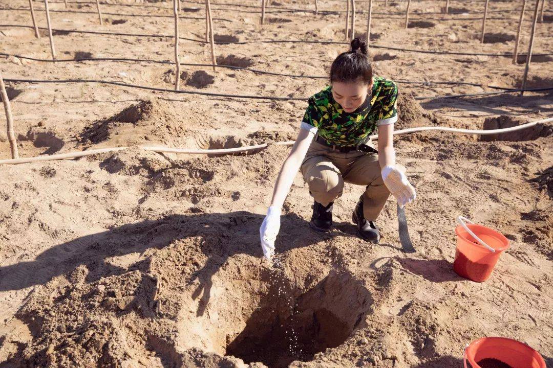 职场杀手什么意思_职场杀手法国电影结尾_职场杀手美国