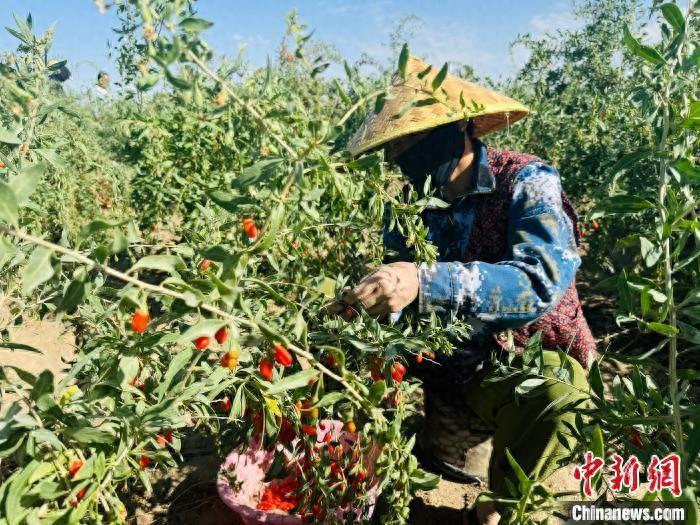 活动彩钢房_彩钢房活动房批发_彩钢房活动房制作图片