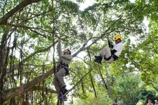 三国杀高校联盟_三国高校传_高校联盟版三国杀