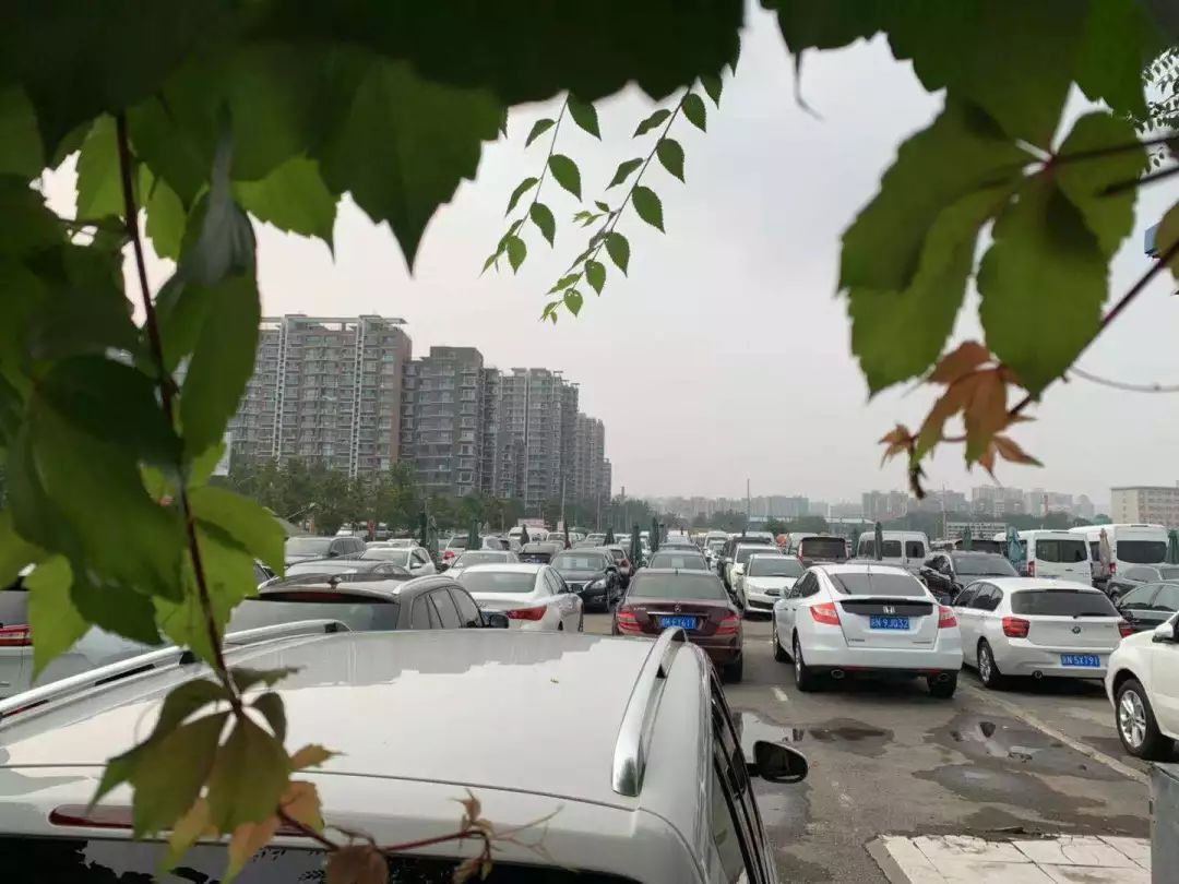 二手交易车价格市场前后变化_前四后八二手车交易市场价格_二手车交易市场趋势