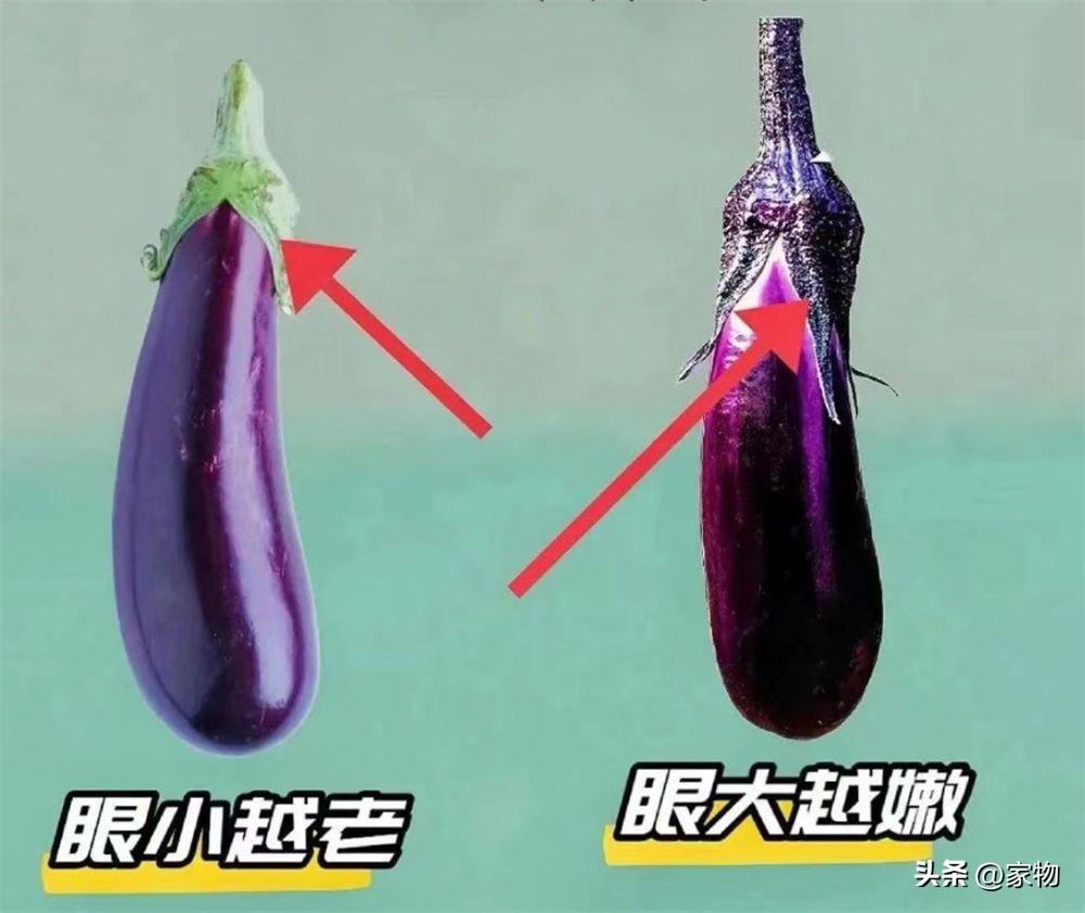 买菜怎么形容__买菜的摊子