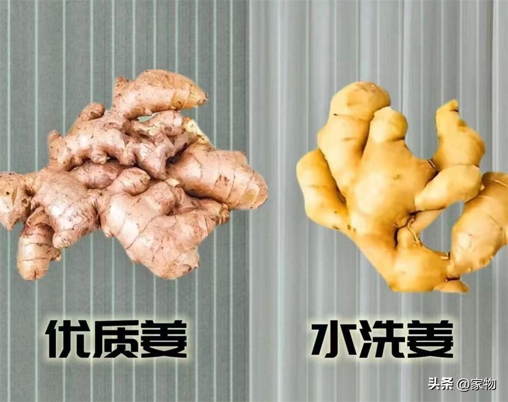 _买菜的摊子_买菜怎么形容