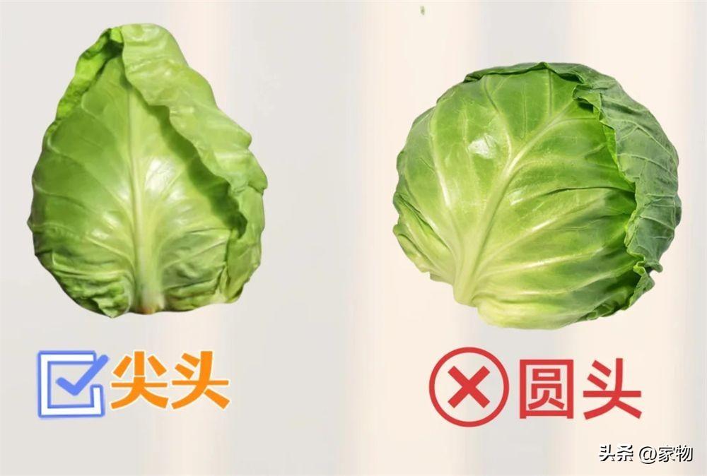 买菜的摊子_买菜怎么形容_