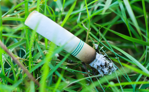 钢结构脚手架搭设_钢结构脚手架施工方案_架钢方案施工脚手结构要求