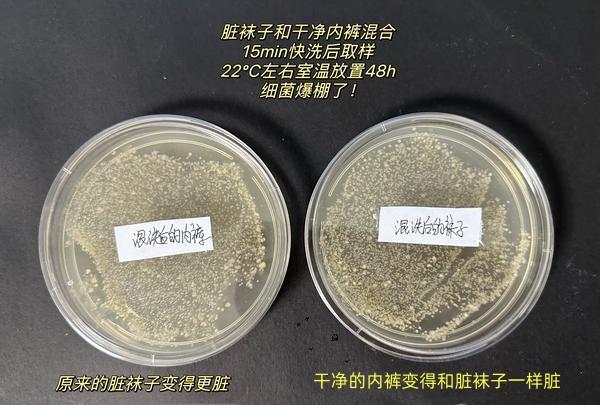 洗袜子的小洗衣机能洗干净吗_小米2s刷机分区工具_