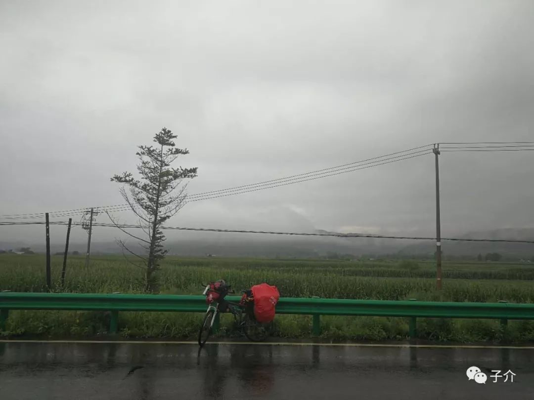 心灵鸡汤无病呻吟_心灵鸡汤虽好可有毒_心灵鸡汤声音