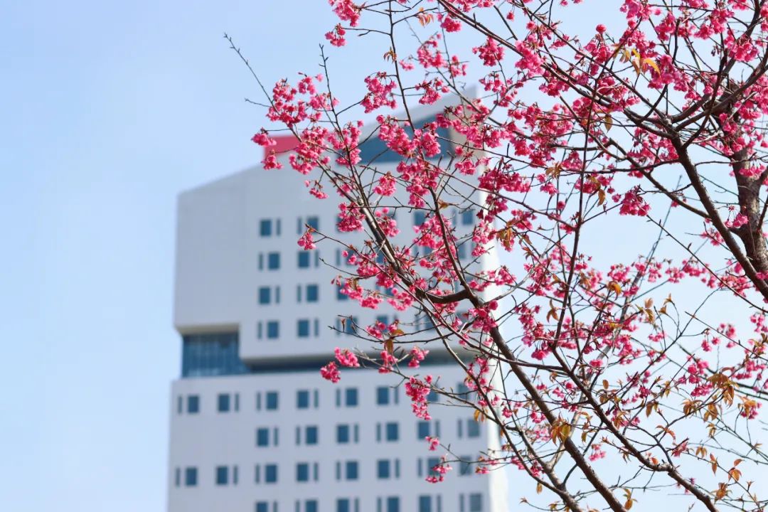 招聘_招聘发布平台_招聘网boss直聘