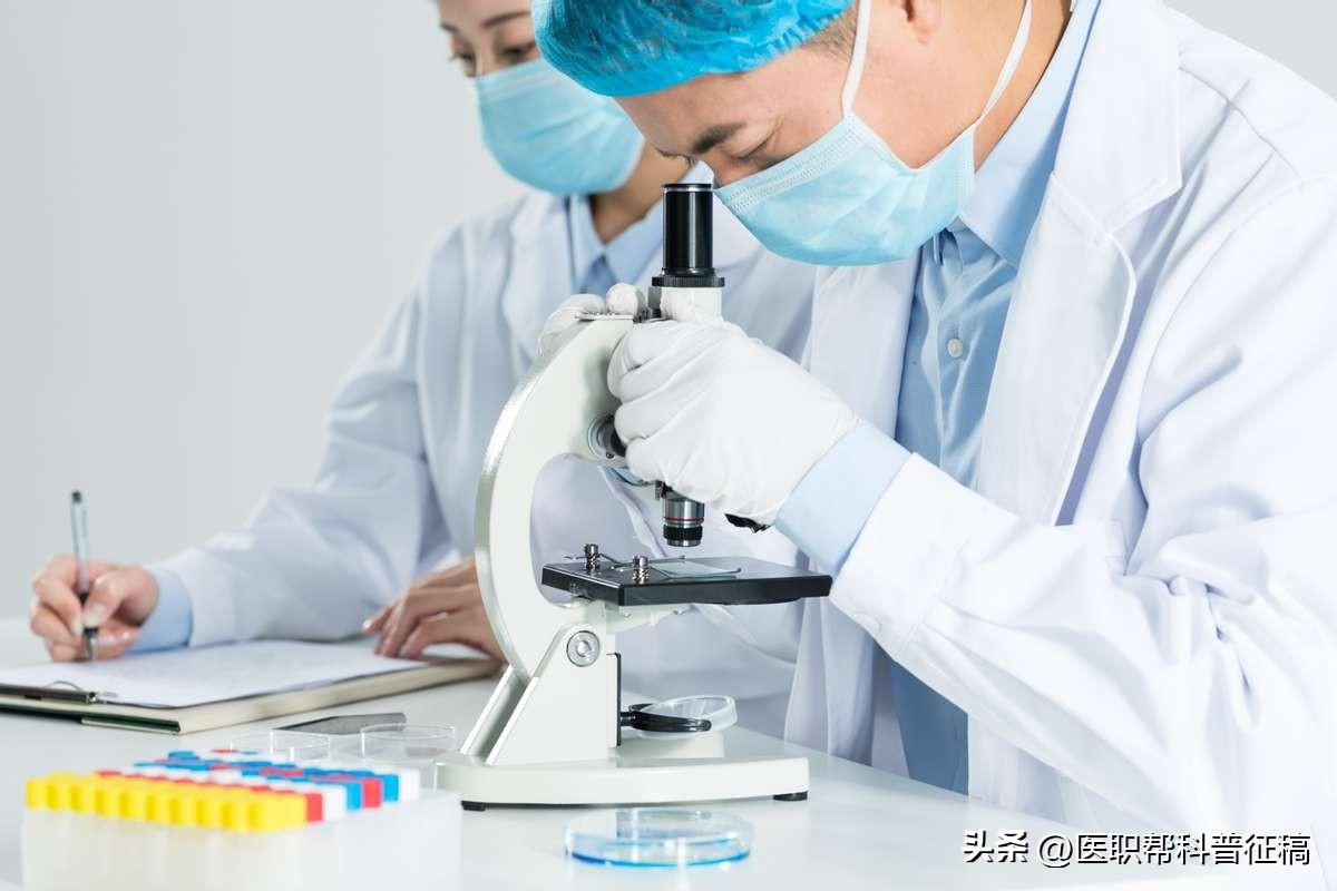 技术部岗位职责说明书_岗位职责说明书的核心内容_岗位职责说明书标准模板