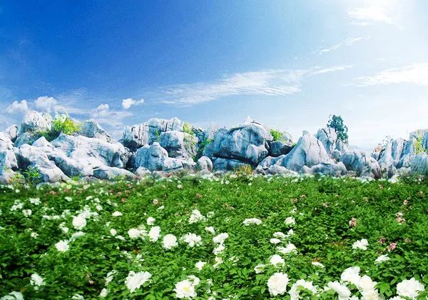 芜湖同福碗粥_粥碗芜湖同福店地址_安徽同福碗粥集团