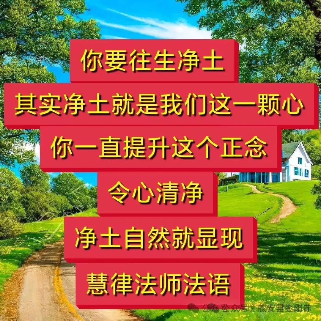 法语心灵鸡汤句子_法语心灵鸡汤_法语心灵鸡汤书籍