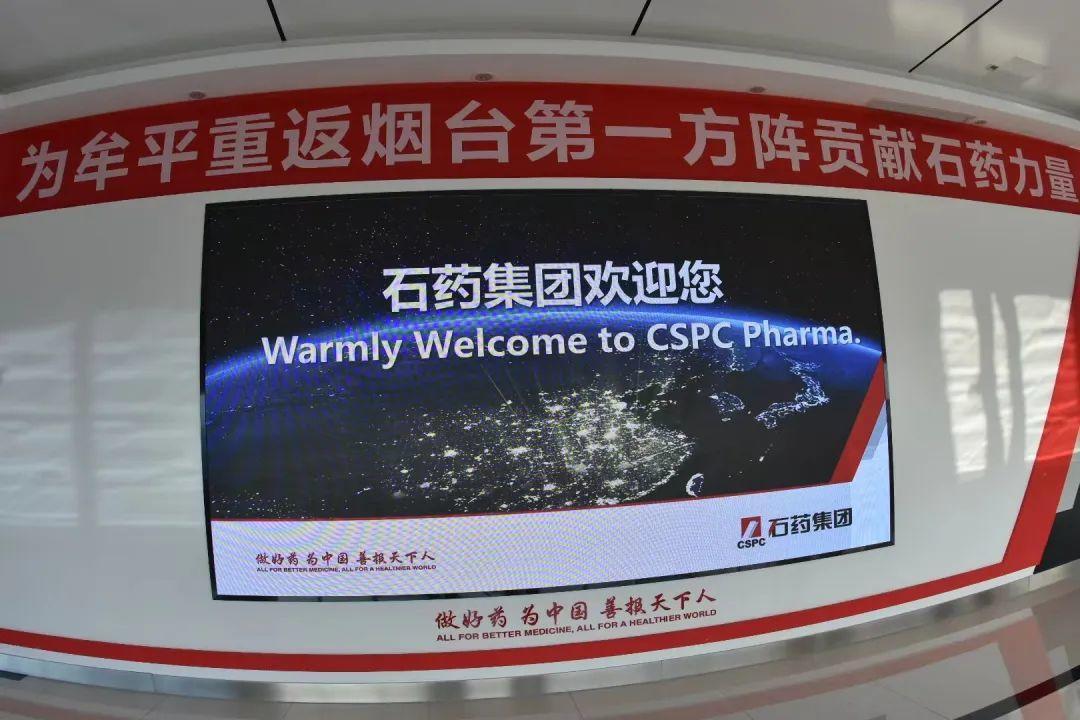 烟台石药投资有限公司招聘_烟台石药投资有限公司_石药集团烟台