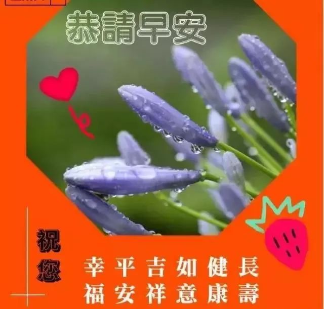 花少中的心灵鸡汤_少看些心灵鸡汤_心灵鸡汤花园