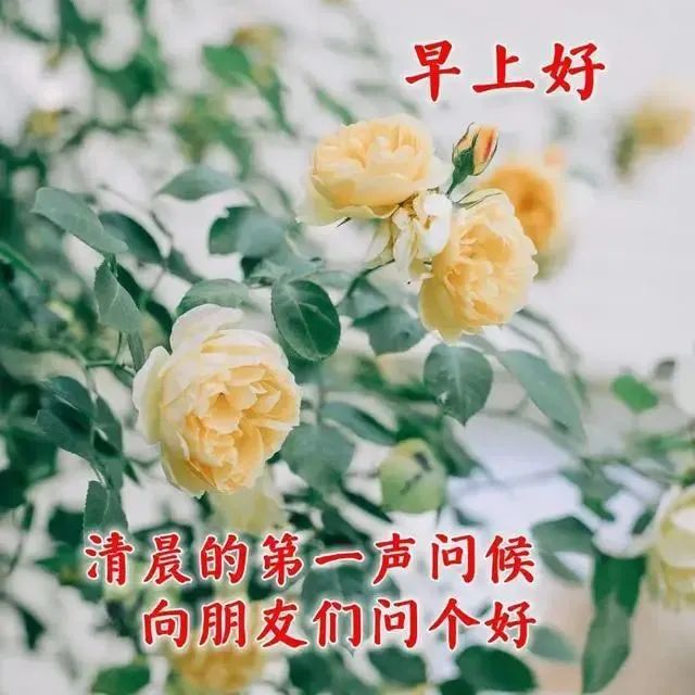 花少中的心灵鸡汤_心灵鸡汤花园_少看些心灵鸡汤