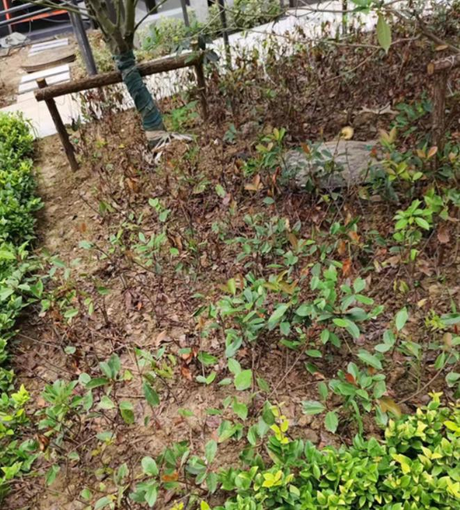装修材料验收的相关法律规范_装修材料品牌及验收要求_装修材料验收需要注意什么