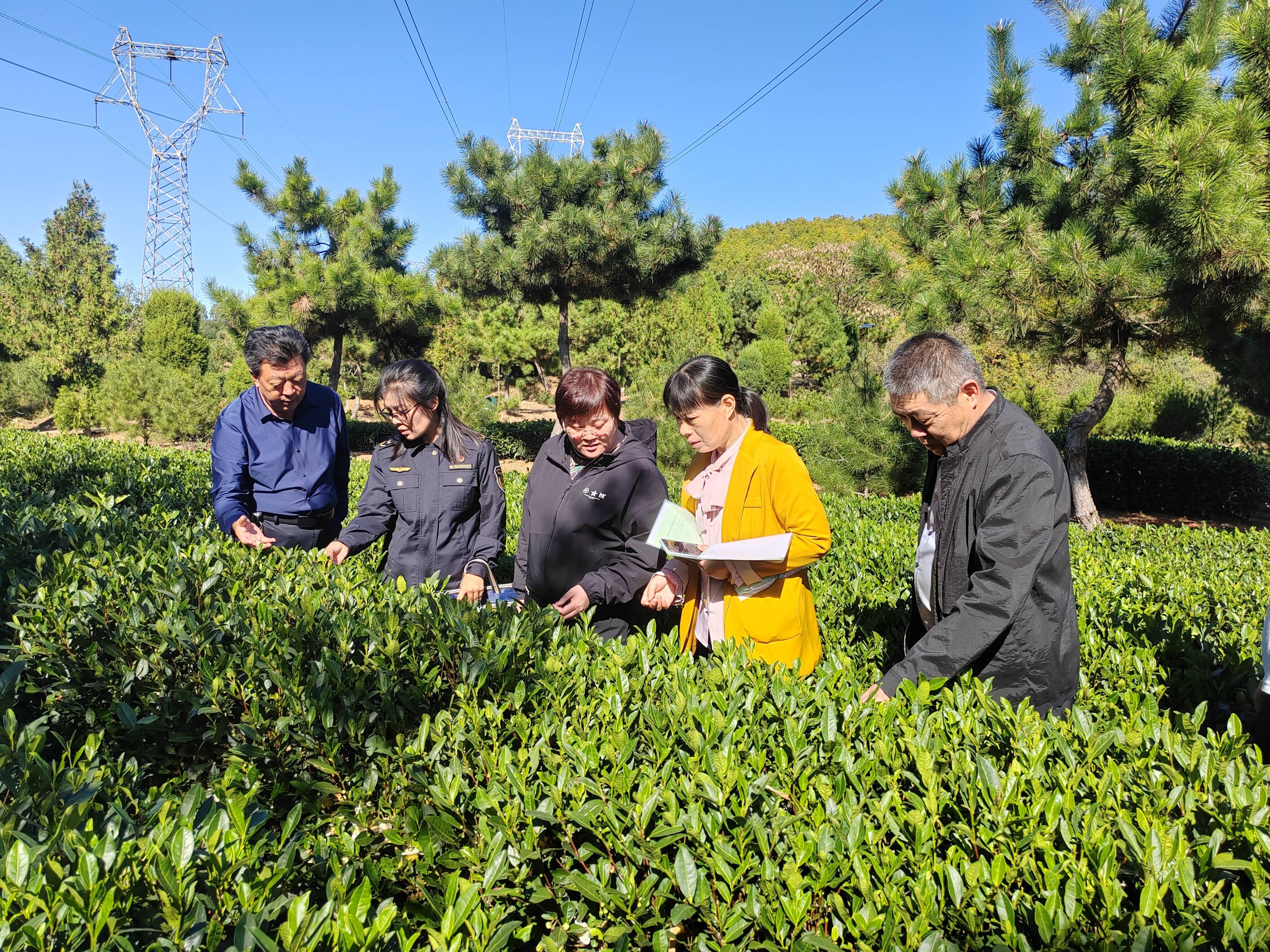山东钢结构公司有哪些_山东钢结构招聘信息_山东钢结构招聘