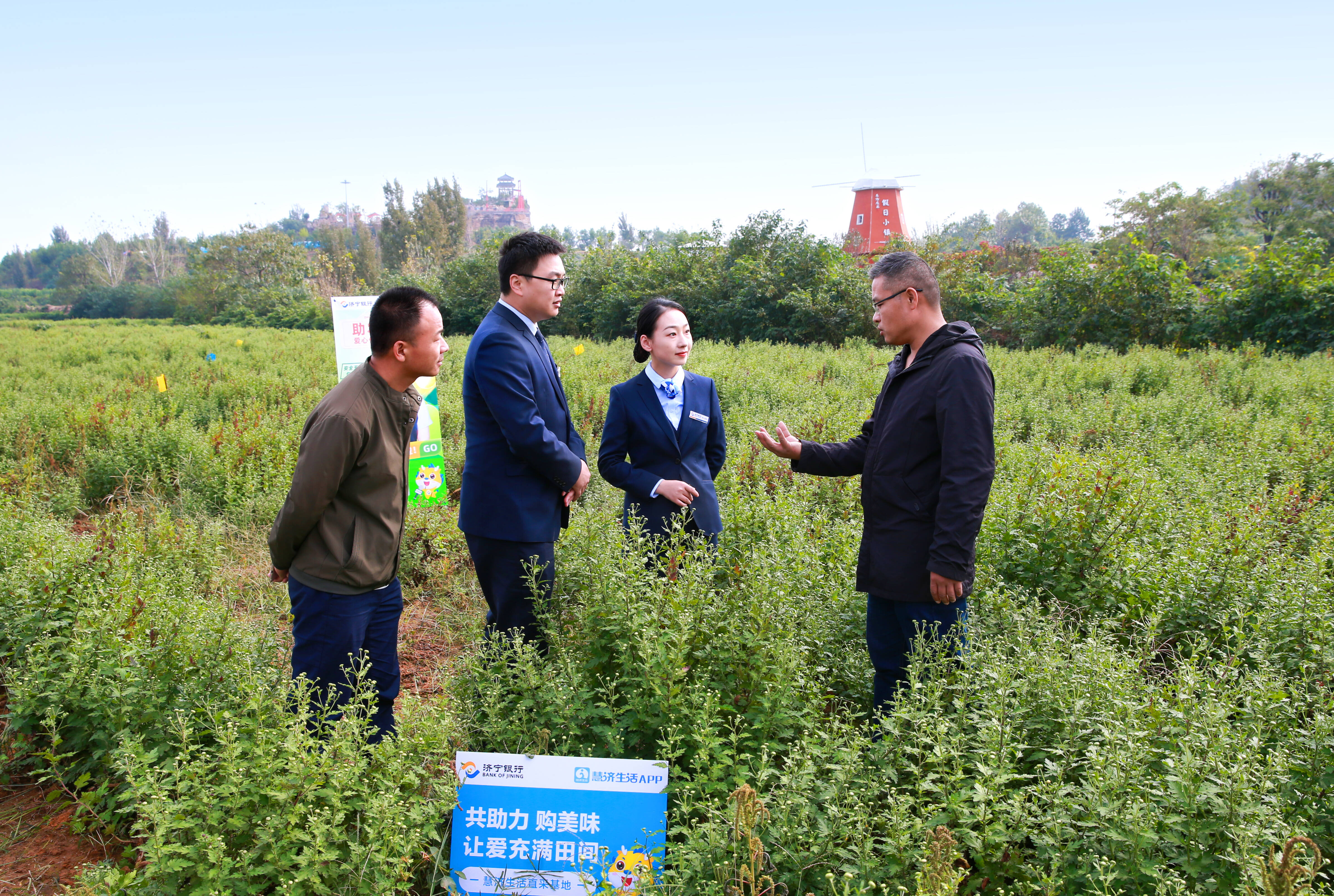 山东钢结构公司有哪些_山东钢结构招聘_山东钢结构招聘信息