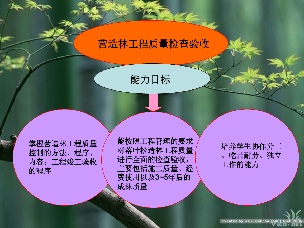 钢结构工程隐蔽验收规范_钢结构隐蔽工程检查验收记录_钢结构隐蔽工程验收单