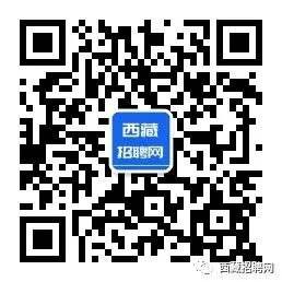 西藏招聘/最新西藏招聘信息大全2024/11/7