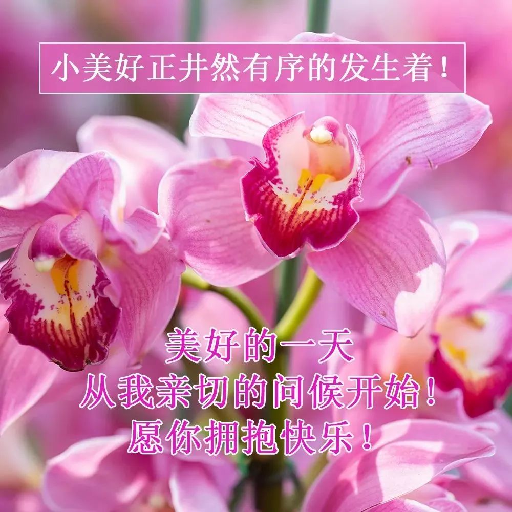 心灵鸡汤有什么用_鸡汤心灵有用吗_鸡汤心灵是什么意思