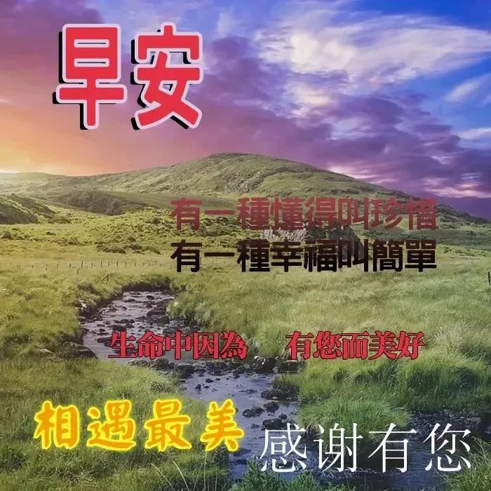 心灵鸡汤有什么用_鸡汤心灵有用吗_鸡汤心灵是什么意思