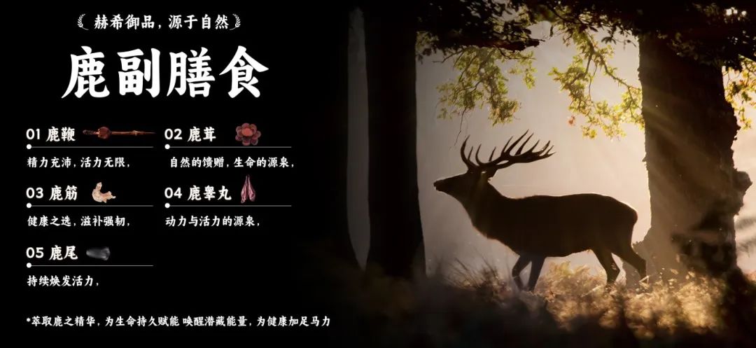 展会官网_展会_济南展会2017展会信息