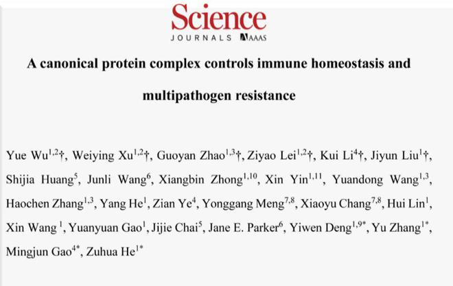 植物抗病基因主要类型__国内外农药喷雾使用历史