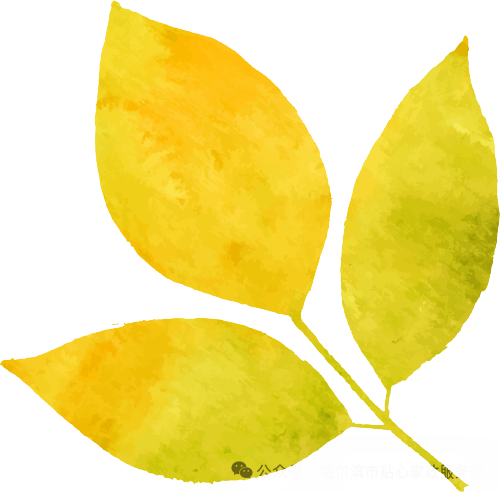 哈尔滨病人家政服务电话_哈尔滨病人家政服务公司电话_哈尔滨家政服务病人