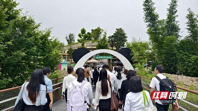 岳阳招聘 | 11月19日止 | 2024年岳阳市云溪区事业单位公开选调工作人员公告