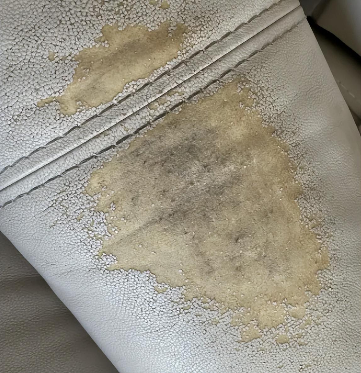 大亚湾买二手房的教训_能坚持当初的信念是什么歌_