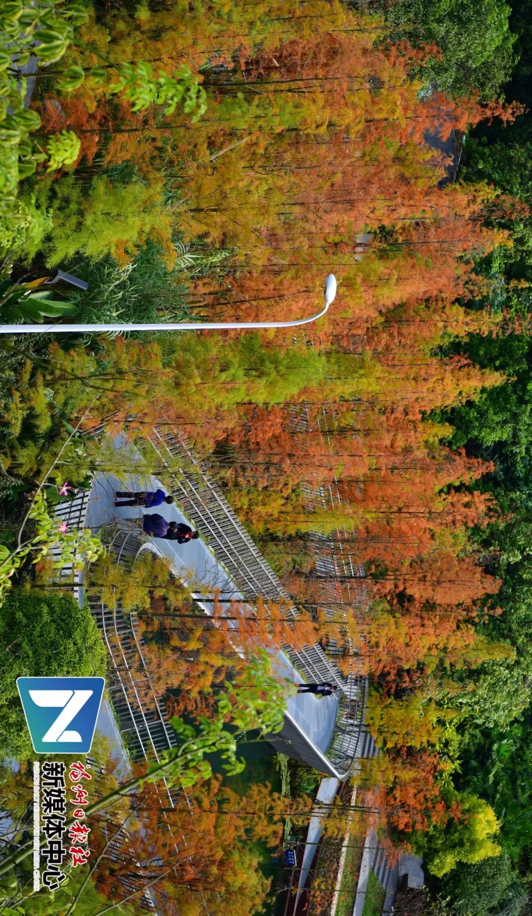 接地钢结构网规格型号_钢结构接地线怎么安装_钢结构接地网