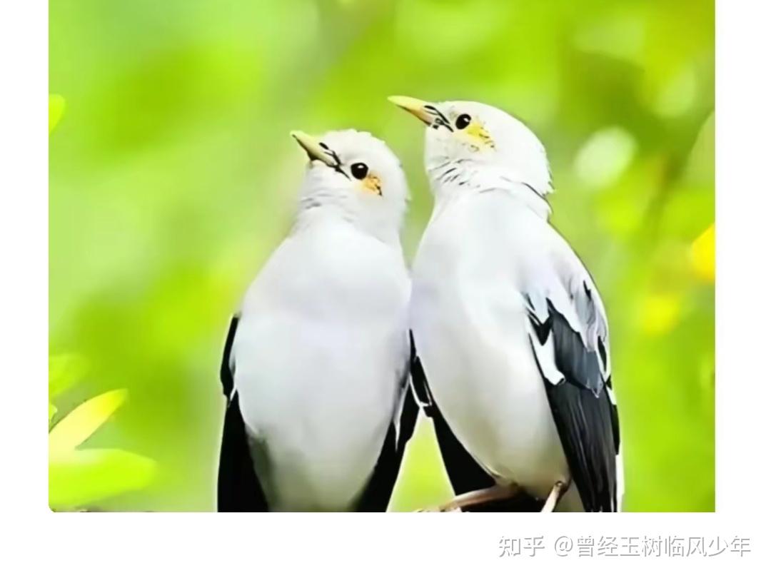 马斯克招人策略曝光：9轮面试，底薪低于同行，只招铁杆特斯拉人
