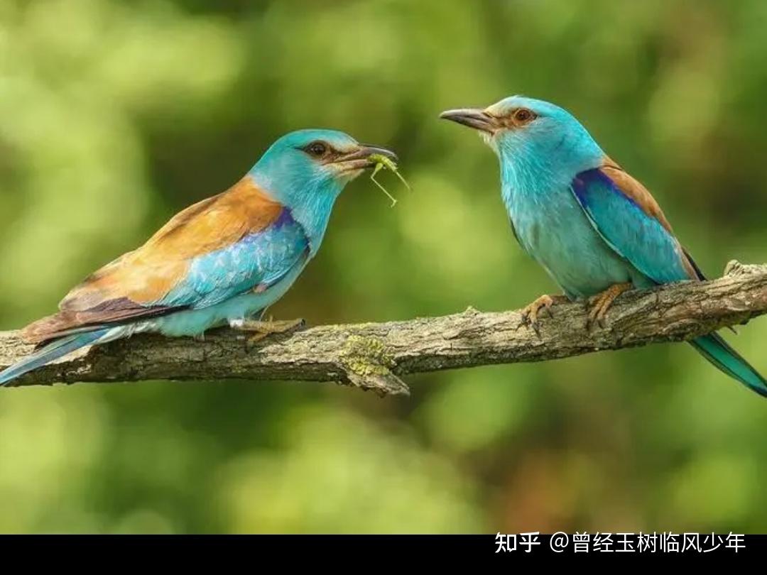 招人_招人在哪个网站比较好找_公会招人广告