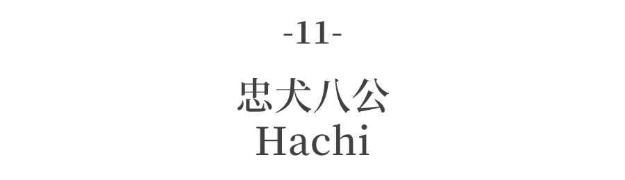 有关职场电影_职场励志经典电影_职场励志电影国内电影