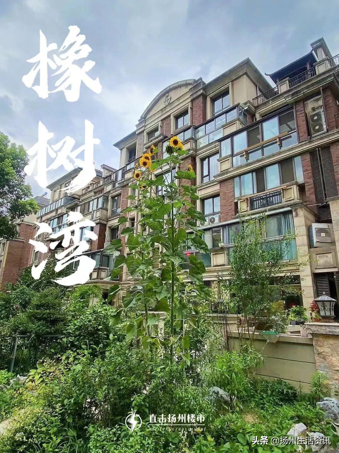 橡树湾房价 扬州西区橡树湾业主无奈：住房被改经营场所，安全谁来保障？