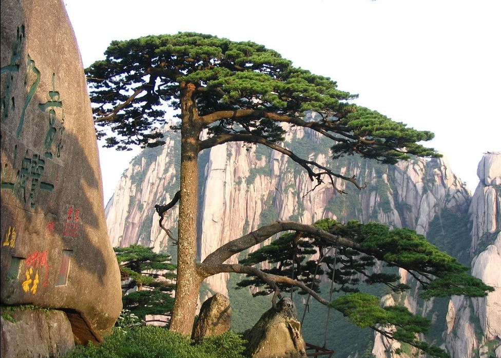 芜湖方特二期门票残疾证_芜湖方特军残证可以免费吗_芜湖方特门票残疾证免费吗