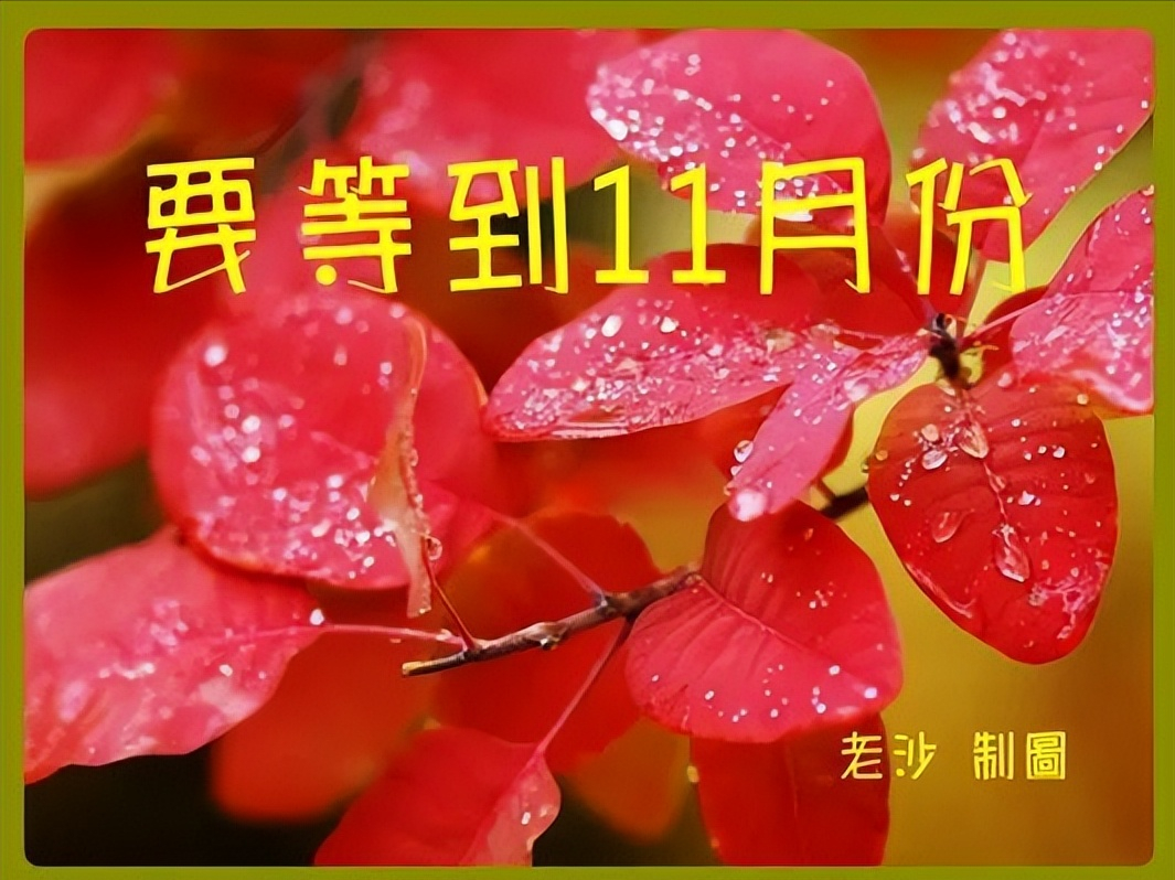 招工最新招聘信息_招工_茌平招工2017工厂招工