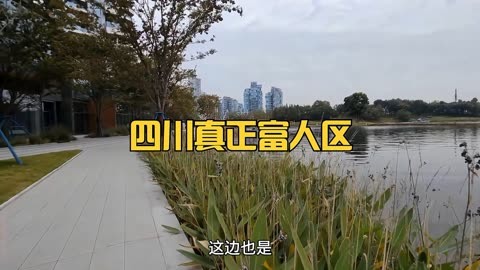 成都中海城南一号二手房信息_成都中海城南1号二手房_成都中海城南一号房价走势