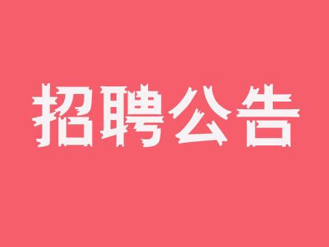 招聘信息丨新站高新区公开招聘