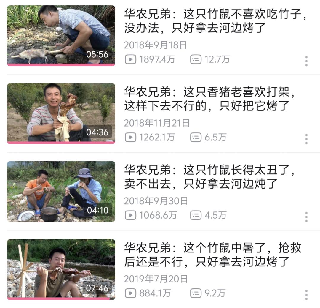 华农兄弟的竹鼠回归，为什么让百万网友泪目？__华农兄弟的竹鼠回归，为什么让百万网友泪目？