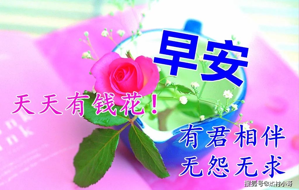 11月19日 | 招聘招工信息已更新速看！