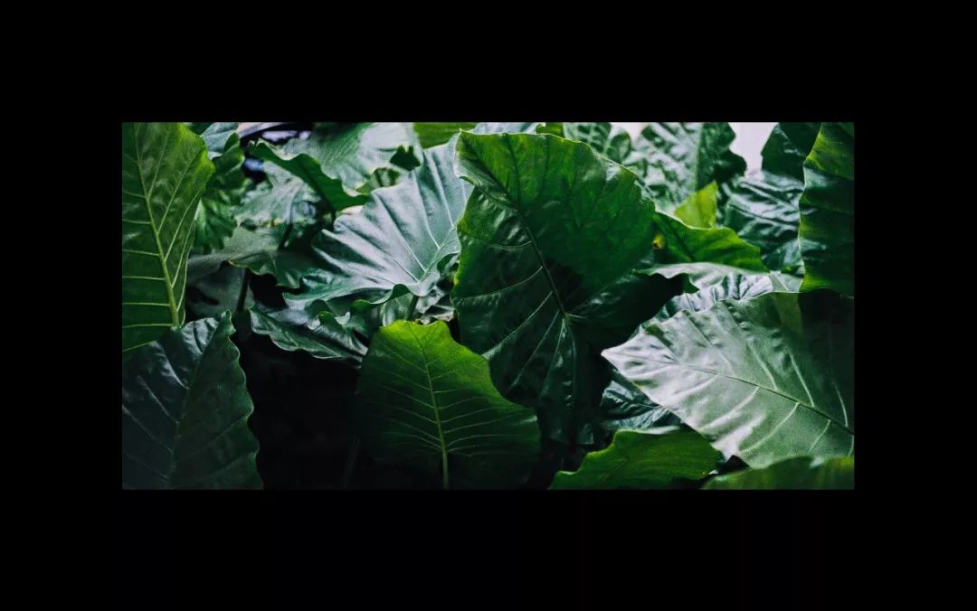 北京人才网招聘招聘_招聘_广饶招聘6月招聘司机