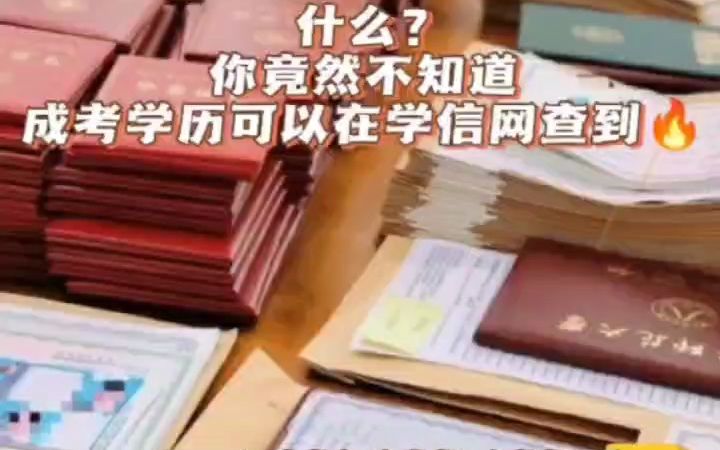 四川钢结构有限公司_四川加海钢结构招聘_四川钢结构设计