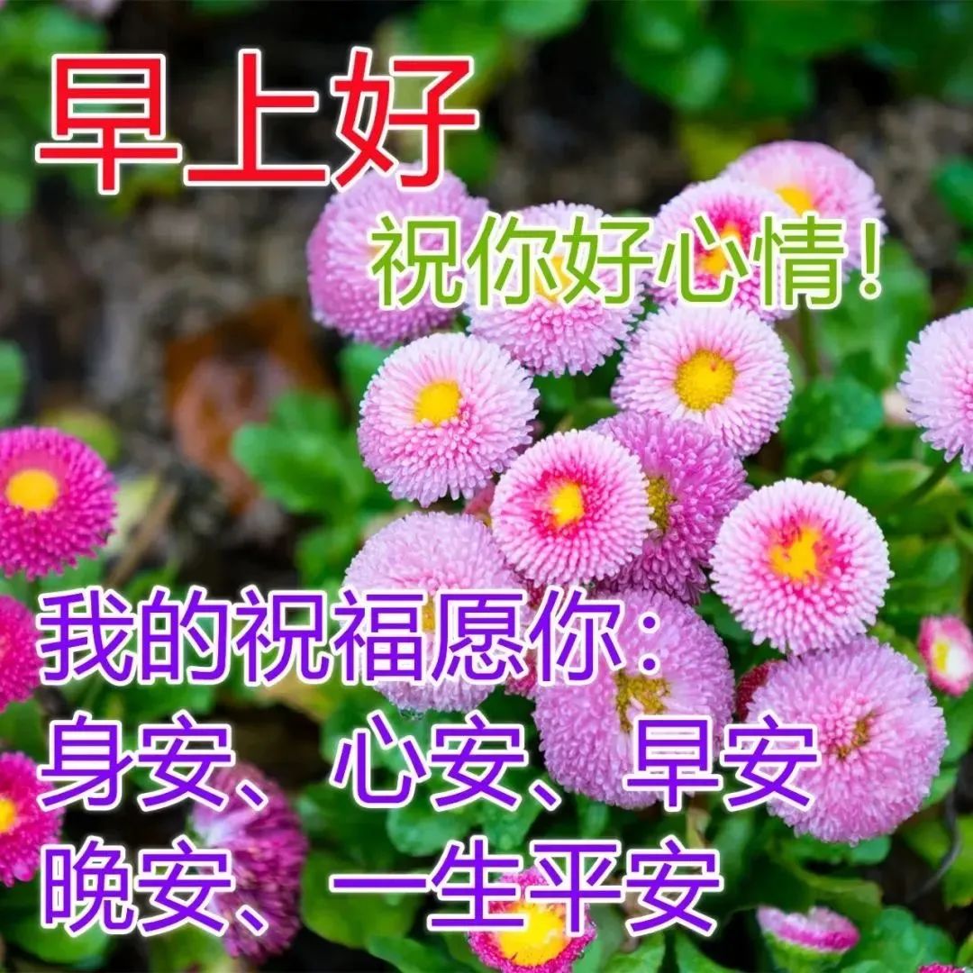 心灵鸡汤好不好_鸡汤心灵语录_鸡汤心灵鸡汤经典语录