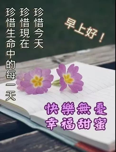 鸡汤心灵鸡汤经典语录_心灵鸡汤好不好_鸡汤心灵语录