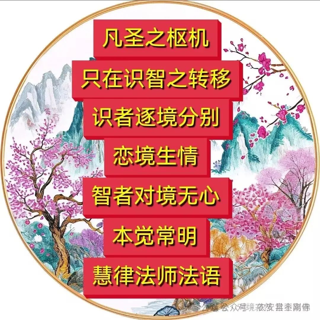 法语心灵鸡汤_法语心灵鸡汤句子_法语治愈系句子