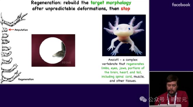 _扩散模型=进化算法！生物学大佬用数学揭示本质_扩散模型=进化算法！生物学大佬用数学揭示本质