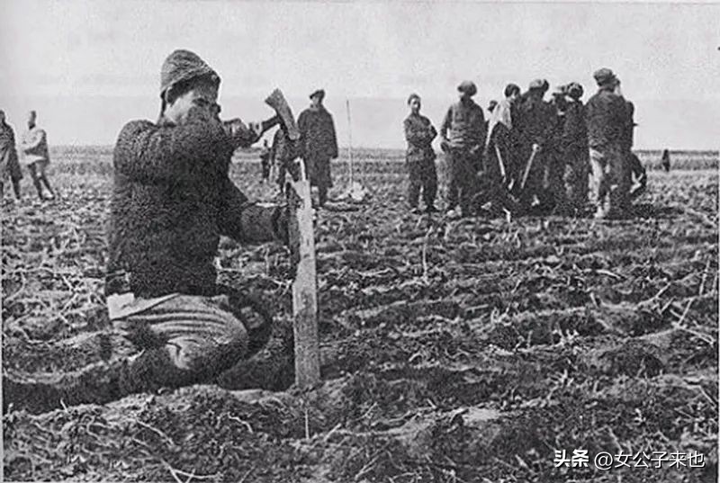 土地革命时期土地政策_土地革命时期政策制定依据_土地革命时期政策的演变