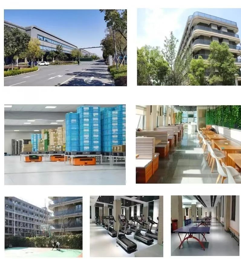 招聘_定向招聘非定向招聘_抚顺人才网招聘招聘