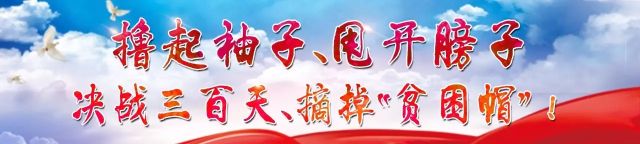装修种材料有哪些种类_装修材料有多少种_装修材料有哪几种